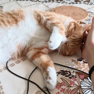 Meet your Posher, Kaiya